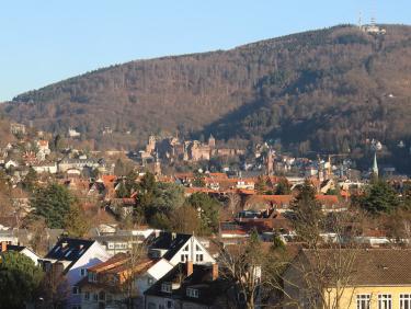 Heidelberg Schloss from Mathematikon Terrace